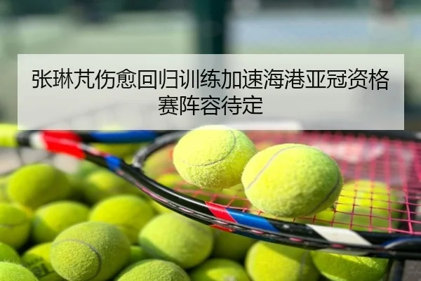 张琳芃伤愈回归训练加速海港亚冠资格赛阵容待定